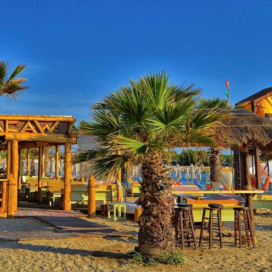 Macaw Beach Bar 1