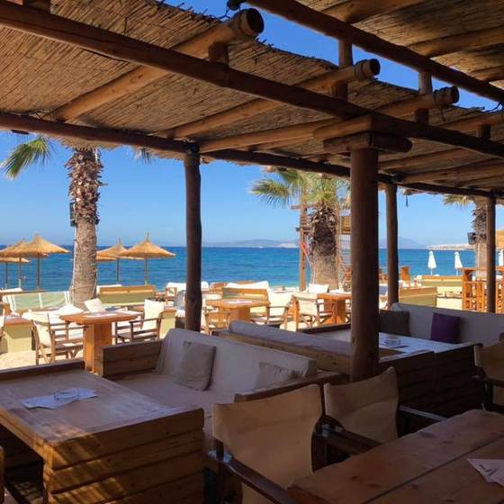Macaw Beach Bar 2