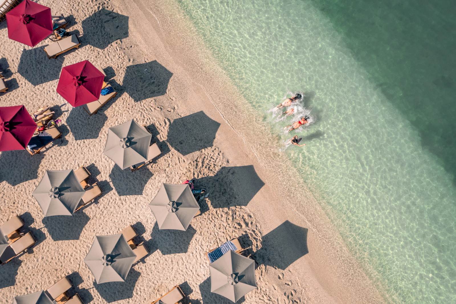 Akanthus 2